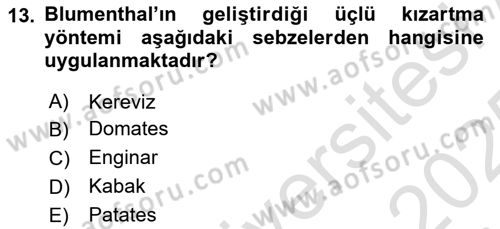 Temel Mutfak Teknikleri Dersi 2024 - 2025 Yılı Yaz Okulu Sınav Soruları 13. Soru