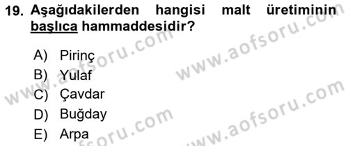 Temel Mutfak Teknikleri Dersi 2024 - 2025 Yılı Yaz Okulu Sınav Soruları 19. Soru