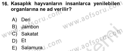 Temel Mutfak Teknikleri Dersi 2025 - 2026 Yılı (Vize) Ara Sınav Soruları 16. Soru