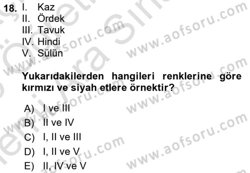 Temel Mutfak Teknikleri Dersi 2025 - 2026 Yılı (Vize) Ara Sınav Soruları 18. Soru