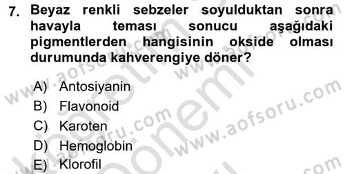 Temel Mutfak Teknikleri Dersi 2025 - 2026 Yılı (Final) Dönem Sonu Sınav Soruları 7. Soru