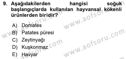 Temel Mutfak Teknikleri Dersi 2025 - 2026 Yılı (Final) Dönem Sonu Sınav Soruları 9. Soru