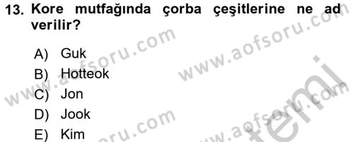 Dünya Mutfakları 2 Dersi 2016 - 2017 Yılı 3 Ders Sınav Soruları 13. Soru