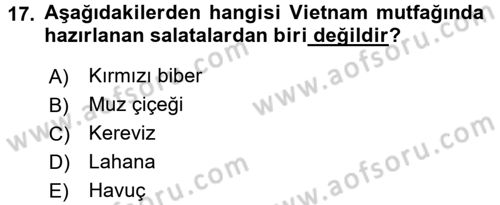Dünya Mutfakları 2 Dersi 2016 - 2017 Yılı 3 Ders Sınav Soruları 17. Soru