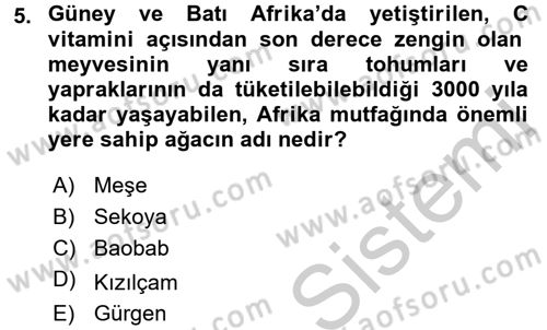 Dünya Mutfakları 2 Dersi 2016 - 2017 Yılı 3 Ders Sınav Soruları 5. Soru