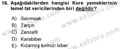 Dünya Mutfakları 2 Dersi 2016 - 2017 Yılı (Vize) Ara Sınav Soruları 16. Soru