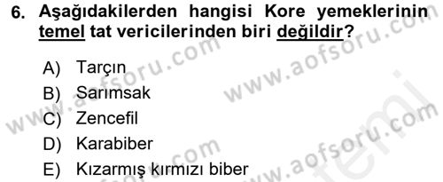 Dünya Mutfakları 2 Dersi 2017 - 2018 Yılı 3 Ders Sınav Soruları 6. Soru