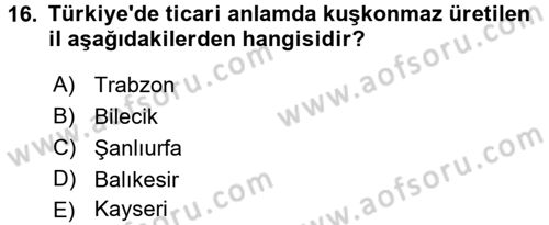 Gıda Coğrafyası Dersi Ara Sınavı Deneme Sınav Soruları 16. Soru