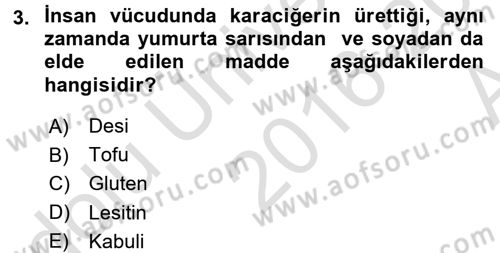 Gıda Coğrafyası Dersi Ara Sınavı Deneme Sınav Soruları 3. Soru