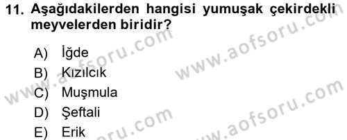 Gıda Coğrafyası Dersi 2016 - 2017 Yılı (Final) Dönem Sonu Sınav Soruları 11. Soru