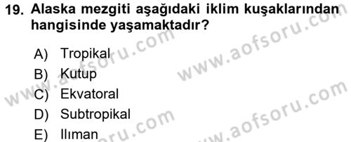 Gıda Coğrafyası Dersi 2016 - 2017 Yılı (Final) Dönem Sonu Sınav Soruları 19. Soru
