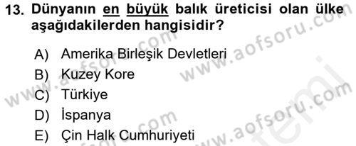 Gıda Coğrafyası Dersi 2017 - 2018 Yılı 3 Ders Sınav Soruları 13. Soru