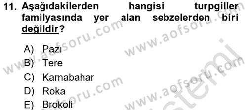 Gıda Coğrafyası Dersi Ara Sınavı Deneme Sınav Soruları 11. Soru