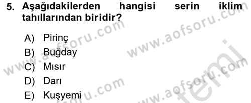 Gıda Coğrafyası Dersi Ara Sınavı Deneme Sınav Soruları 5. Soru