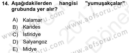 Gıda Coğrafyası Dersi 2017 - 2018 Yılı (Final) Dönem Sonu Sınav Soruları 14. Soru