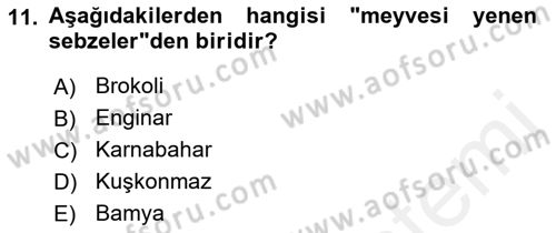 Gıda Coğrafyası Dersi Ara Sınavı Deneme Sınav Soruları 11. Soru