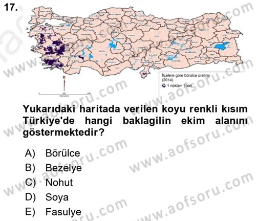 Gıda Coğrafyası Dersi Ara Sınavı Deneme Sınav Soruları 17. Soru