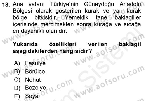 Gıda Coğrafyası Dersi Ara Sınavı Deneme Sınav Soruları 18. Soru
