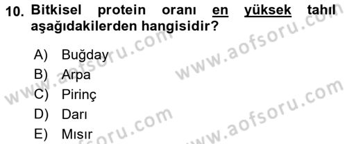 Gıda Coğrafyası Dersi Ara Sınavı Deneme Sınav Soruları 10. Soru