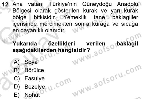 Gıda Coğrafyası Dersi Ara Sınavı Deneme Sınav Soruları 12. Soru