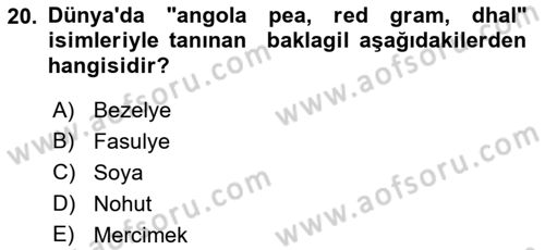 Gıda Coğrafyası Dersi Ara Sınavı Deneme Sınav Soruları 20. Soru