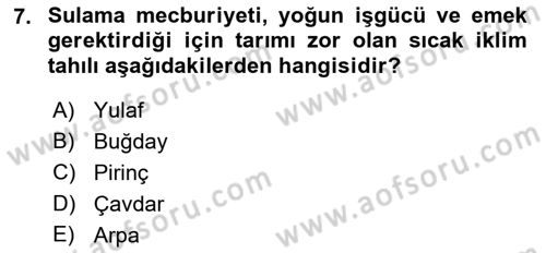 Gıda Coğrafyası Dersi Ara Sınavı Deneme Sınav Soruları 7. Soru