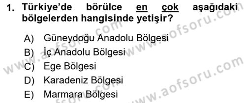 Gıda Coğrafyası Dersi 2019 - 2020 Yılı (Final) Dönem Sonu Sınavı 1. Soru