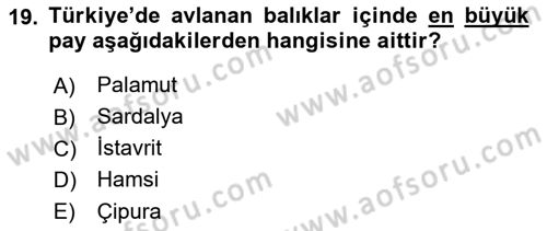 Gıda Coğrafyası Dersi 2019 - 2020 Yılı (Final) Dönem Sonu Sınav Soruları 19. Soru