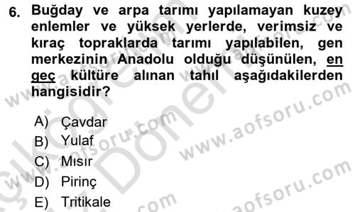 Gıda Coğrafyası Dersi Ara Sınavı Deneme Sınav Soruları 6. Soru
