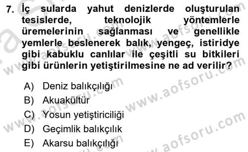 Gıda Coğrafyası Dersi Ara Sınavı Deneme Sınav Soruları 7. Soru