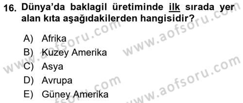 Gıda Coğrafyası Dersi Ara Sınavı Deneme Sınav Soruları 16. Soru
