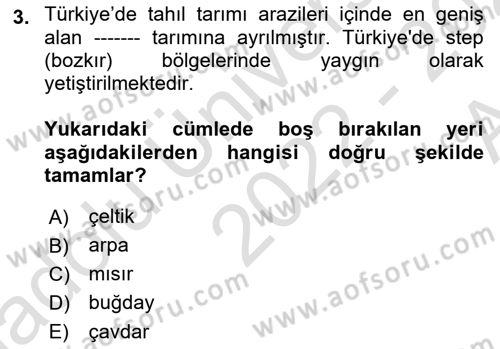 Gıda Coğrafyası Dersi Ara Sınavı Deneme Sınav Soruları 3. Soru