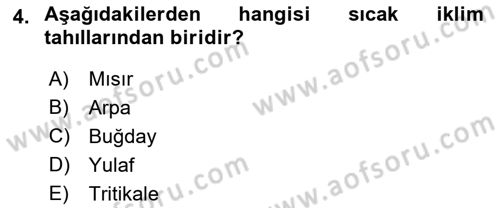Gıda Coğrafyası Dersi Ara Sınavı Deneme Sınav Soruları 4. Soru