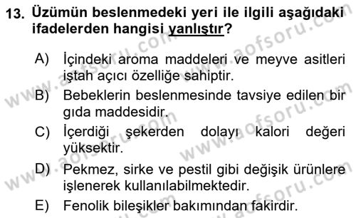 Gıda Coğrafyası Dersi 2022 - 2023 Yılı (Final) Dönem Sonu Sınav Soruları 13. Soru