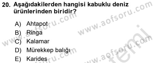 Gıda Coğrafyası Dersi 2022 - 2023 Yılı (Final) Dönem Sonu Sınav Soruları 20. Soru