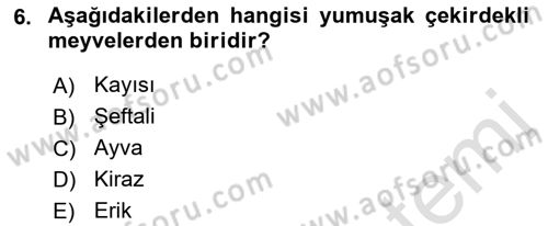 Gıda Coğrafyası Dersi 2022 - 2023 Yılı (Final) Dönem Sonu Sınav Soruları 6. Soru