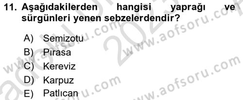 Gıda Coğrafyası Dersi Ara Sınavı Deneme Sınav Soruları 11. Soru