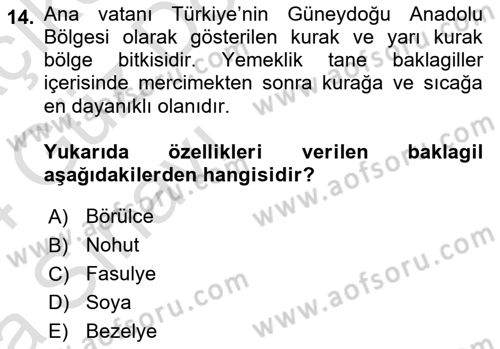 Gıda Coğrafyası Dersi Ara Sınavı Deneme Sınav Soruları 14. Soru