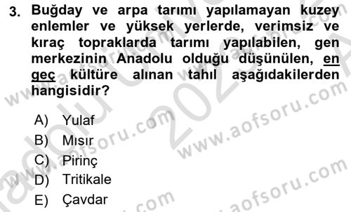 Gıda Coğrafyası Dersi Ara Sınavı Deneme Sınav Soruları 3. Soru