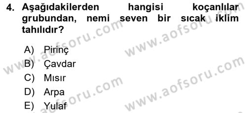 Gıda Coğrafyası Dersi 2023 - 2024 Yılı (Vize) Ara Sınav Soruları 4. Soru