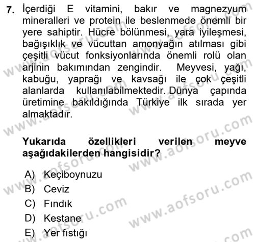 Gıda Coğrafyası Dersi 2023 - 2024 Yılı (Final) Dönem Sonu Sınav Soruları 7. Soru