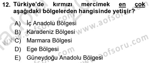 Gıda Coğrafyası Dersi Ara Sınavı Deneme Sınav Soruları 12. Soru