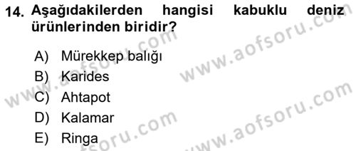 Gıda Coğrafyası Dersi 2024 - 2025 Yılı (Final) Dönem Sonu Sınav Soruları 14. Soru