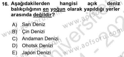 Gıda Coğrafyası Dersi 2024 - 2025 Yılı (Final) Dönem Sonu Sınav Soruları 16. Soru