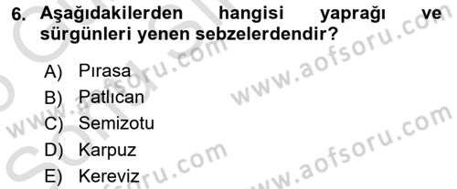Gıda Coğrafyası Dersi 2024 - 2025 Yılı (Final) Dönem Sonu Sınav Soruları 6. Soru