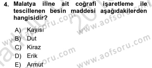 Gastronomi Ve Medya Dersi Ara Sınavı Deneme Sınav Soruları 4. Soru