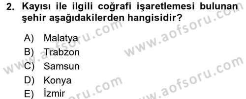 Gastronomi Ve Medya Dersi 2017 - 2018 Yılı (Vize) Ara Sınav Soruları 2. Soru