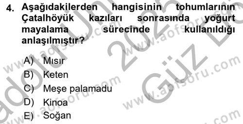 Gastronomi Ve Medya Dersi 2025 - 2026 Yılı (Vize) Ara Sınav Soruları 4. Soru