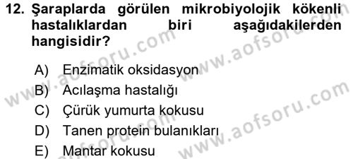 İçecek Bilgisi Dersi 2016 - 2017 Yılı 3 Ders Sınav Soruları 12. Soru