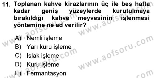 İçecek Bilgisi Dersi 2016 - 2017 Yılı (Vize) Ara Sınav Soruları 11. Soru
